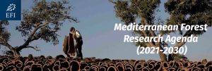 banner-mediterranean-forest-research-agenda1