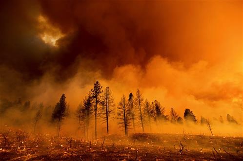 Incendi boschivi e erosione del suolo
