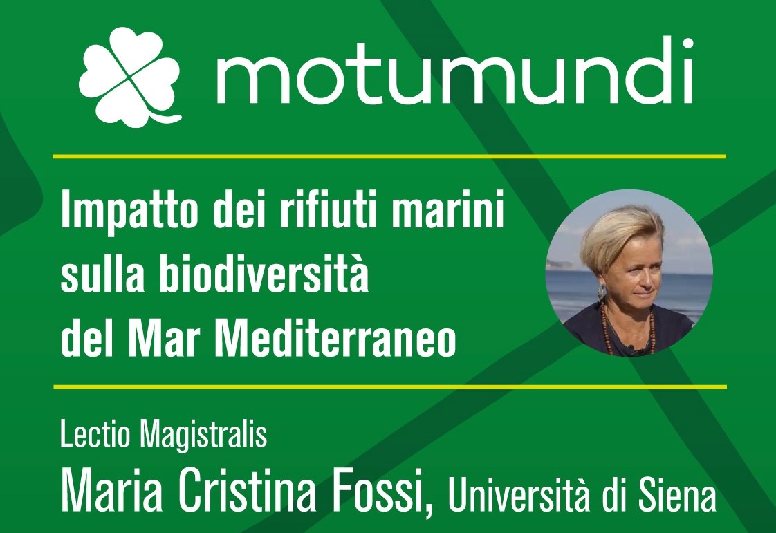 CS: Impatto dei rifiuti marini sulla biodiversità del Mar Mediterraneo: 17/2 – lectio magistralis di Maria Cristina Fossi (Università di Siena) per il Premio Motumundi
