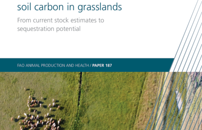 Global assessment of soil carbon in grasslands