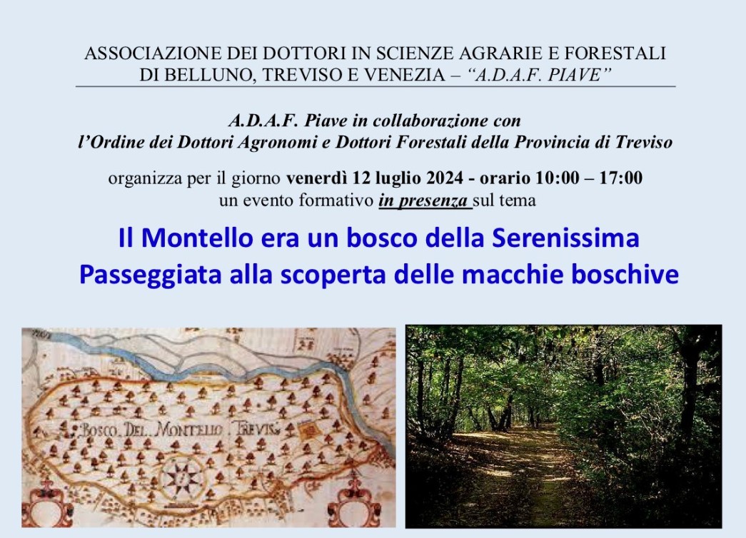 Montello (TV), 12 luglio 2024 – Evento formativo in presenza “Il Montello era un bosco della Serenissima. Passeggiata alla scoperta delle macchie boschive”