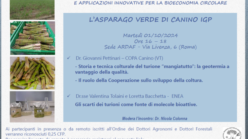 Roma, 1° ottobre 2024 – Ciclo di seminari ARDAF – “L’asparago verde di Canino IGP”