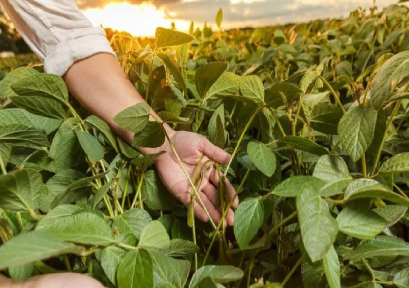 Il regalo di Natale per Dottori Agronomi e Forestali: coefficiente di rivalutazione più alto, pensioni più basse