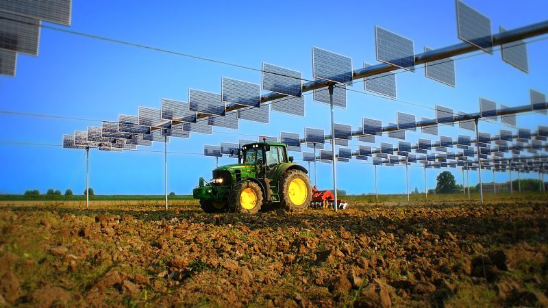 Il Testo Unico sulle Rinnovabili: una svolta per l’agrivoltaico in Italia