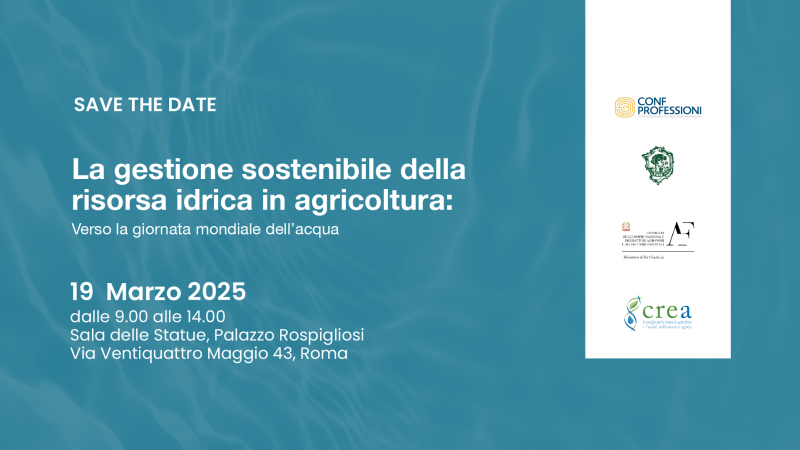 Roma, 19 marzo 2025 – Giornata di studio “La gestione sostenibile della risorsa idrica in agricoltura: verso la giornata mondiale dell’acqua”