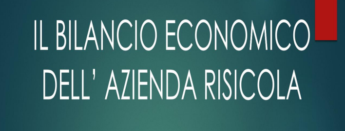 Il bilancio economico dell’azienda risicola. Modello di impostazione ed esame di quattro casi rappresentativi anno 2024.